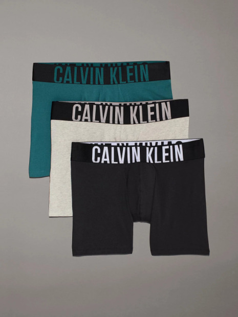 Pánské boxerky Calvin Klein 3 pack NB3609/QTK (4)